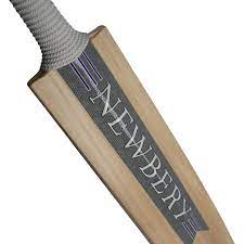 Newberry Velo GT Player Cricket Bat (2023) Review